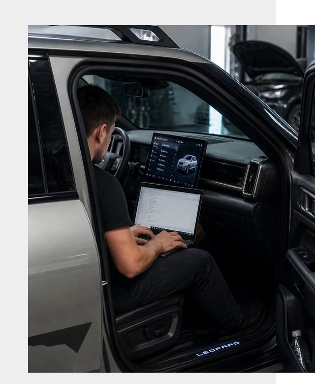 Русификация BYD Leopard 3 в Белове по цене от 21609 р. | ФастМобиль-Блв